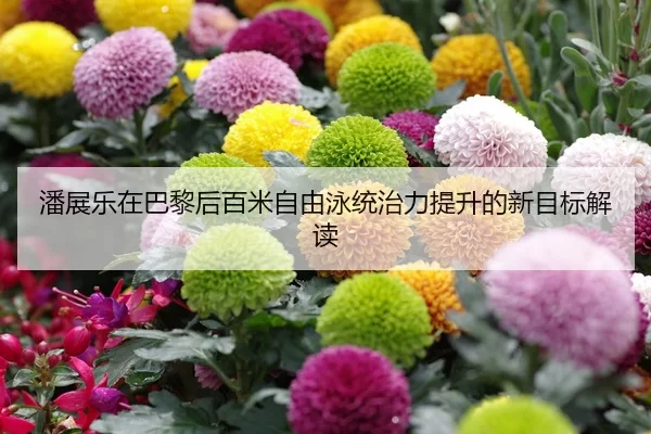 潘展乐在巴黎后百米自由泳统治力提升的新目标解读